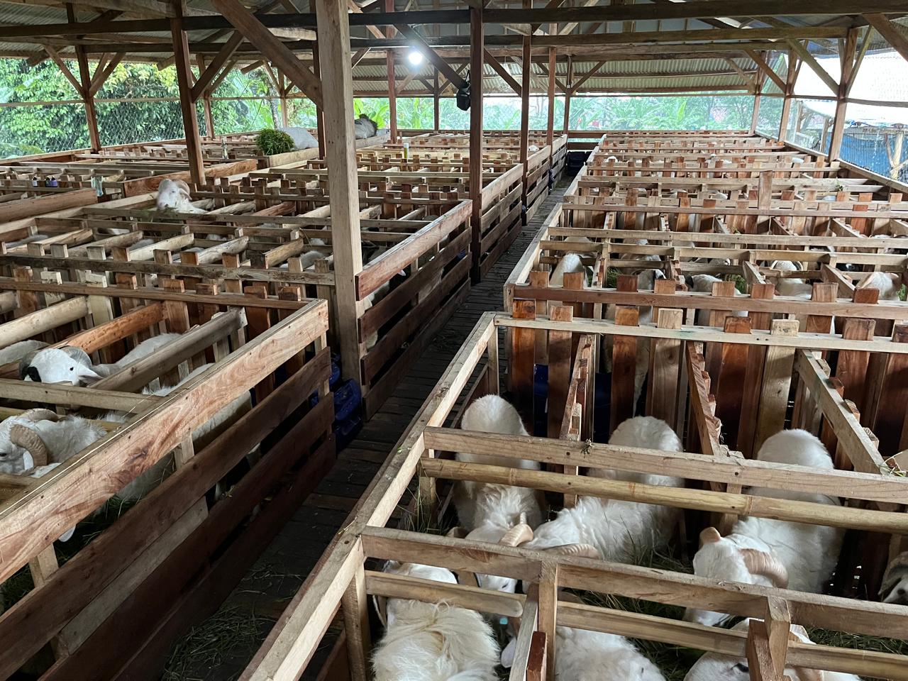Suasana farm dari dekat